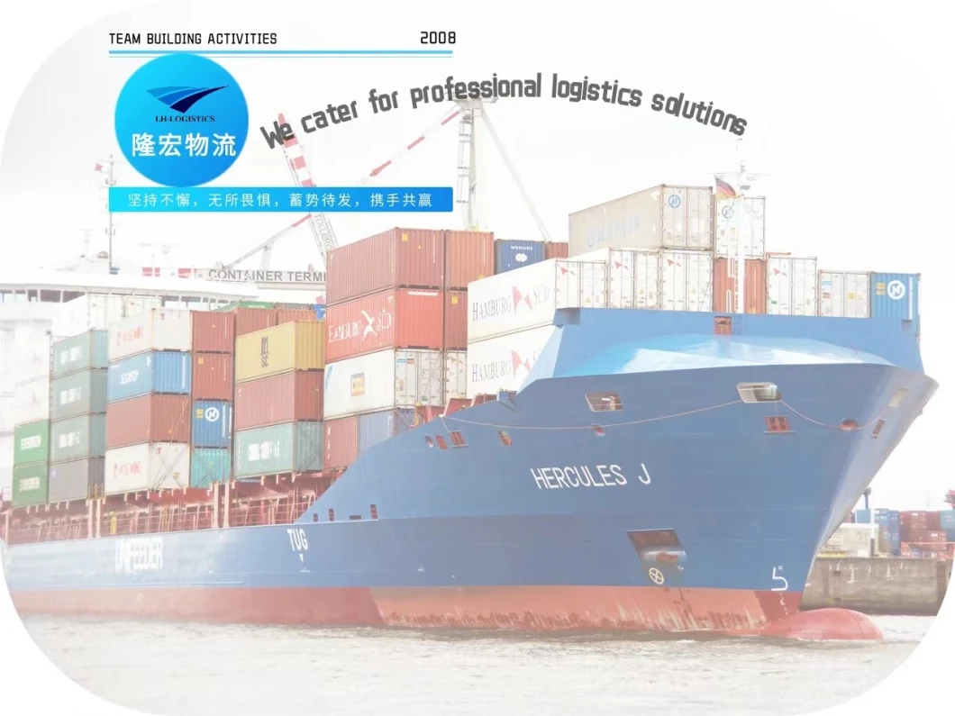 Professional E-Commerce Shipping DDU DDP Logistics 1688/Alibaba Tanzania
