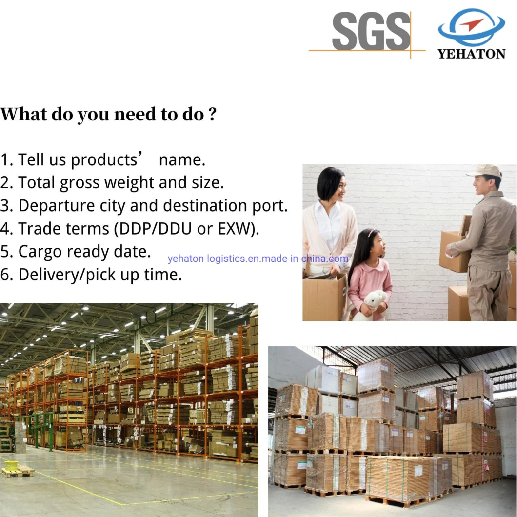 Focus on International Cargo Transportation Agency, Air Transportation, Warehousing and Distribution, Special Shipping