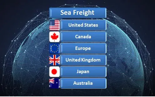 Sea Freight From China Guangzhou to India and America Professional Cheapest Fast Freight Shipping