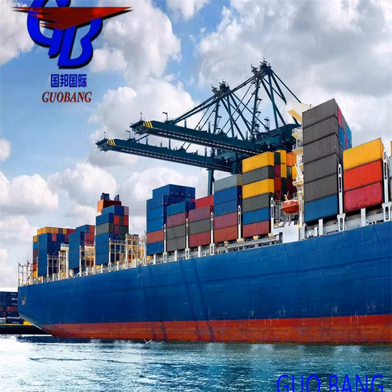 Versandservice von China nach Atlanta, USA (Express-/Seeversand/Luftfracht)