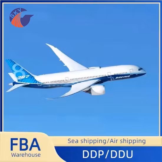 Luftfracht von China nach Serbien oder Luftfracht-Versandagentenservice